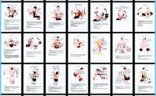 bodybuilding program pdf archives