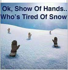 Ok Show Of Hands Who S Tired Of Snow Show Of Hands Snow Humor Snow Day Meme