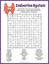 Your Students Will Enjoy Looking For All Of The Human Endocrine System Vocabulary Words Hi Endocrine System Activities Endocrine System Endocrine System Lesson