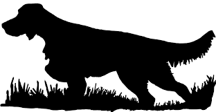 Pin On Hunting Dogs Bird Hunting