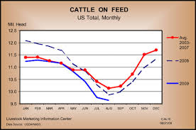 Angus Beef Bulletin Extra Marketing