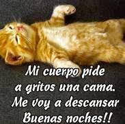 Buenas Noches Chistosas Chistes E Imagenes Graciosas Memes Healthy Snacks For Kids Breakfast For Kids