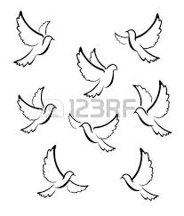 Taube Vektor Taube Zeichnung Taube Zeichnen Tauben Tattoo