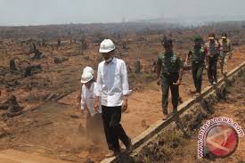 Baik di bidang sosial, ekonomi, budaya, bahkan kegiatan bersama keagamaan. Presiden Ajak Masyarakat Gotong Royong Tanggulangi Kebakaran Hutan Antara News