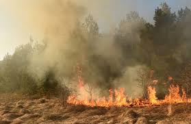 Перевод слова flames, американское и британское произношение, транскрипция, словосочетания, однокоренные слова, примеры использования. Flame Merging Investigating The Spread Of Wildland Fires Research Outreach