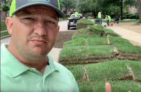 Augustine grass watering need differences. What Type Of Zoysia Grass Is Best Zoysia Grass Installation