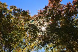 Looking for the best wallpapers? Hd Wallpaper Lake Fall Autumn Fall Foliage Landscape Nature Scene Wallpaper Flare