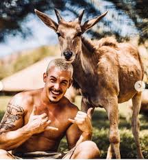 Dean Schneider Schneider Dean Animals