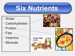 Six Nutrients Water Carbohydrates Protein Fats Vitamins