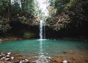 Image result for twin falls rainforest maui