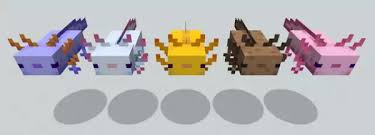Here's how to get one. Minecraft Axolotls How To Tame An Axolotl In The Cliffs Caves Update Laptrinhx