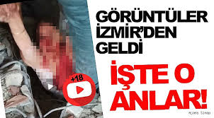 Izmir yakınlarındaki son depremlerin verileri ve konumları. Izmir De Meydana Gelen Depremde Kazazedelere Ulasma Anlari Ajanssinop Com