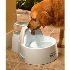 Check spelling or type a new query. Drinkwell Big Dog Pet Fountain Big Dogs Dog Fountain Dog Water Fountain