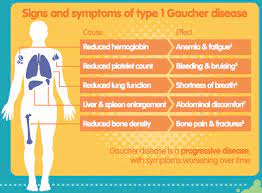 Gaucher Disease Signs And Symptoms