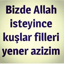 Melike Melikekcr Websta Good Sentences Cool Words Like Quotes