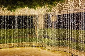 Rope Light Ideas With Pictures Designs And More For 2020 Own The Yard