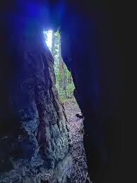 Inside and out of the Grandmother of the Forest. Humboldt California