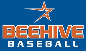 We also do online breaks, buy, sell and trade cards. Beehive 9u Perfect Game Baseball Association