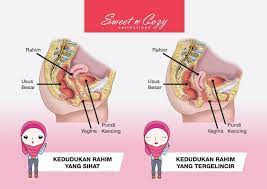 Kami akan ajar cara urut zakar yang sebenar, rutin sebelum urut zakar terdapat rutin yang anda perlu tahu. Wanita Perlu Tahu Cara Betul Nak Tahu Peranakan Jatuh Kartel Dakwah