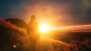 Image result for "lens flare"