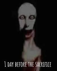 What Time Does Mango Come Out