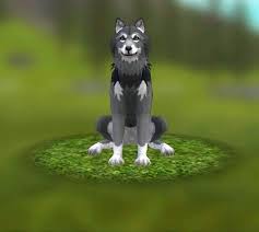 Rare Wolf Skin Animal Games Animals Fox Art