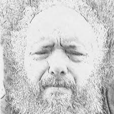 What is the model and worth of the brass hood ornament?