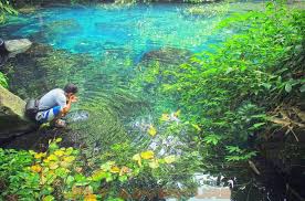 Saya di sini akan membahas tentang kemajuan kota sumedang/kabupaten sumedang. Situ Biru Cilembang Sumedang Outbound Lembang Bandung Sky Adventure Indonesia