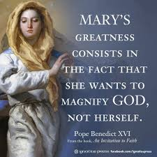 Image result for mary is not the queen of heaven