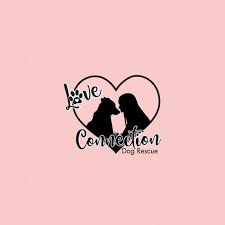 Maybe you would like to learn more about one of these? Love Connection Dog Rescue Adoption Event Apples Pet Boutique Chandler 22 May 2021