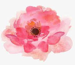 Free Icons Png Watercolor Floral Elements Png Transparent Png 1848x1548 Free Download On Nicepng Designer clothes, shoes & bags for women | ssense.