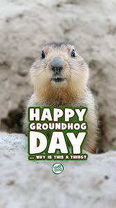 Happy Groundhog Day! Did you know the Groundhog Day tradition - where the  groundhog predicts six more weeks of Winter if it sees his shadow - began  in Germany? 🇩🇪, Since ancient times, roughly halfway ...