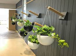 No green thumb required, fully automated. Top Five Vertical Garden Alternatives The Plant Man