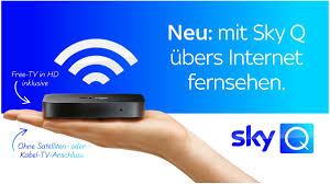 Sky Q Jetzt Auch Via Iptv Empfangbar Kein Kabel Oder Sat Anschluss Mehr Notig Netzwelt
