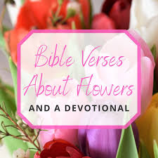 I can't wait to see our love grow and grow and grow. 10 Bible Verses About Flowers And A Devotional Gathered Again