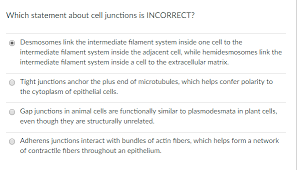 Maybe you would like to learn more about one of these? Which Statement About Cell Junctions Is Incorrect Chegg Com