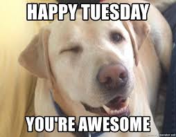 Funny tuesday memes for sharing! 100 Funny Tuesday Memes Pictures Images For Motivation