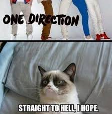 Maybe you would like to learn more about one of these? Image 468505 Grumpy Cat Know Your Meme