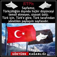 Sayfanin Paylasimlari Dusunceler