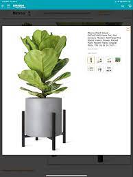 Pin by Kathleen Treubig on 40 Glattly | Planters, Planter pots, Plants