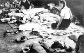 Aug 09, 2020 · 長崎にはかつて、「幻の原爆ドーム」とも呼ばれる遺構があった。浦上天主堂だ。原爆の悲惨さを伝える存在として、天主堂の保存を求める声も. ã‚ã¾ã‚Šã«ã‚‚æã‚ã—ã„æ‚²åŠ‡ã  åºƒå³¶ã«æŠ•ä¸‹ã•ã‚ŒãŸåŽŸçˆ†è¢«å®³ã®å®Ÿæ…‹ã‚'çŸ¥ã£ãŸã‚¤ãƒ³ãƒ‰ãƒã‚·ã‚¢äººã®åå¿œ ã‚¤ãƒ³ãƒ‰ãƒã‚·ã‚¢äººã®æœ¬éŸ³