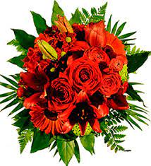 Make restaurant reservations and read reviews. Flowers On Fourteenth Carmen Washington Dc 20009 Ftd Florist Flower And Gift Delivery