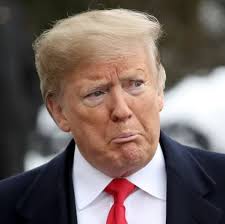 Donald Trump's Tragic Loss and Public Reaction