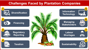 In malaysia, oil palm industry is currently the second largest export. Plantation Companies Brace For Challenges Ahead 27 Advisory