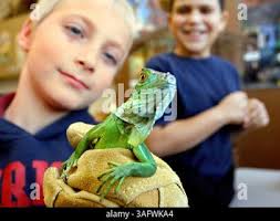 U and I . SCIENCE FROM LEFT TO RIGHT: Miss Frances Cottre 11,Freshman  Science, Biology; Mr. Paul Westmeyer,Chemistry; Mr. Roger Brown, Freshman  Science,Biology; Mr. Kenneth Hunt, Physics. MATH STANDING, Left to Right: