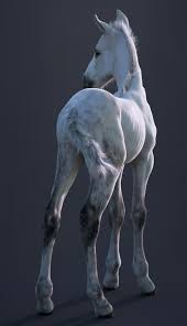 Pin On 3d Animals Models