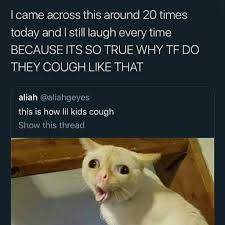 Pin On Memes