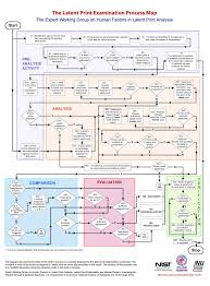 Nij Fingerprint Flow Chart Process Map Criminal