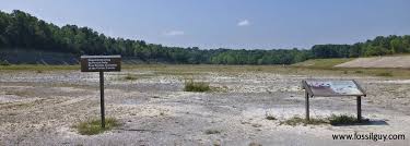 We did not find results for: Fossil Collecting At Caesar Creek State Park Ohio State Parks Fossil Hunting Creek