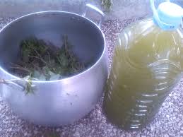 Fp Purin De Ortigas Blancas Muy Abundantes En El Huerto 14 Dias De Maceracion Y Es Un Concentrado Que Diluido Al 5 Refuerz Huertos Escolares Huerto Plantas